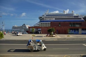 Funchal: City Tour in a Tukxi