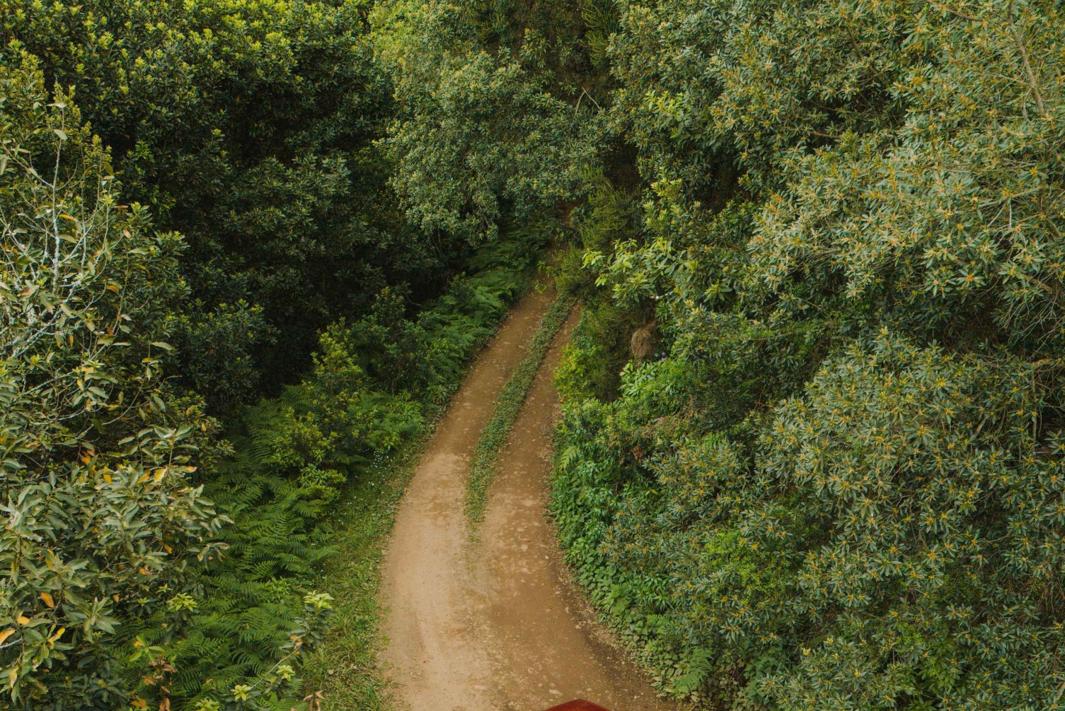 Funchal: Crea la tua avventura, tour privato in jeep con prelievo