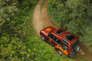 Funchal: Craft Your Adventure, private Jeep Tour w/ pick-up