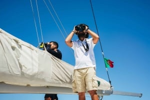 Funchal: Dolphin and Whale Watching by Luxury Catamaran