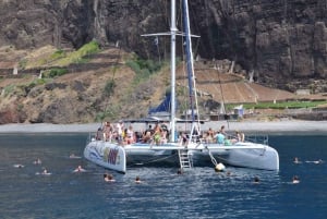 Funchal: Dolphin and Whale Watching Catamaran Cruise