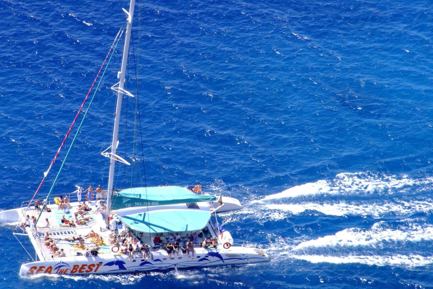 Funchal: Dolphin and Whale-watching Catamaran Tour