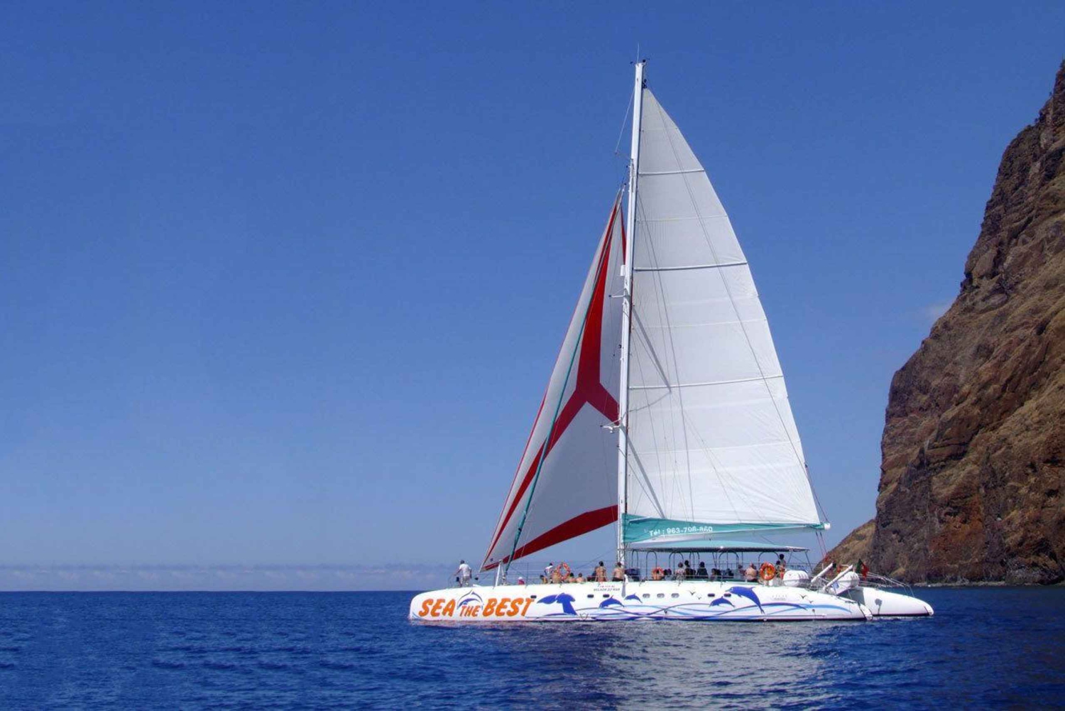 Funchal: Dolphin and Whale-watching Catamaran Tour