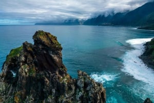 Funchal: Dolphin and Whale-watching Catamaran Tour