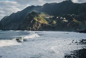 Funchal: Dolphin and Whale-watching Catamaran Tour