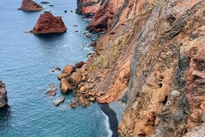 Funchal: Dolphin and Whale-watching Catamaran Tour