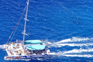 Funchal: Dolphin and Whale-watching Catamaran Tour