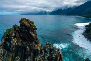 Funchal: Dolphin and Whale-watching Catamaran Tour