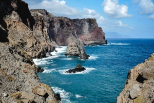 Funchal: Dolphin and Whale-watching Catamaran Tour