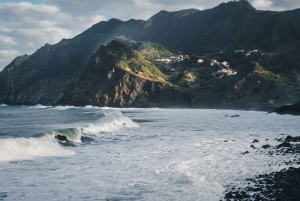 Funchal: Dolphin and Whale-watching Catamaran Tour