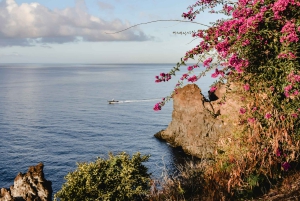 Funchal: Dolphin and Whale-watching Catamaran Tour