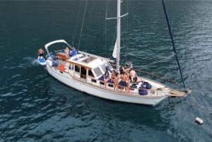 Funchal: Dolphin and Whale Watching Sailing Trip