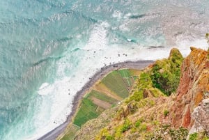 Funchal: Dolphin and Whale Watching Sailing Trip