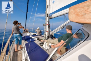 Funchal: gita in barca a vela con osservazione di delfini e balene