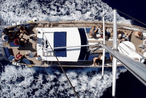 Funchal: gita in barca a vela con osservazione di delfini e balene