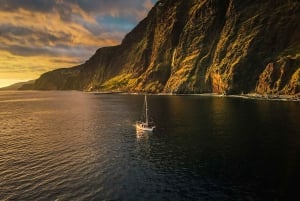 Funchal: Dolphin and Whale Watching Sunset Sailing Tour