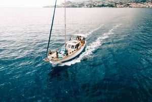 Funchal: Dolphin and Whale Watching Sunset Sailing Tour