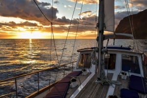 Funchal: Dolphin and Whale Watching Sunset Sailing Tour