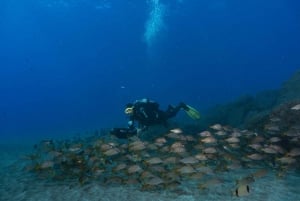 Funchal: DPV- Scooter Dive Adventure