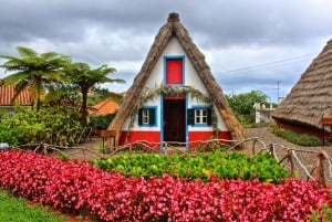 Funchal: East Madeira Island Guided Tour & Laurissilva Walk