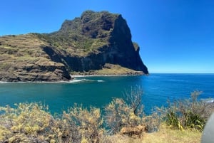 Funchal: East Madeira Island Guided Tour & Laurissilva Walk