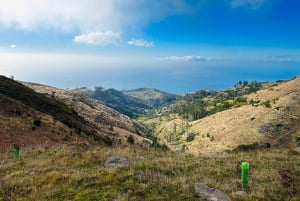 Funchal: Östra Madeira Guidad tur & Laurissilva promenad