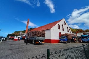 Funchal: Östra Madeira Guidad tur & Laurissilva promenad