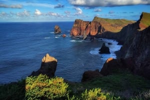 Funchal: Östra Madeira Guidad tur & Laurissilva promenad