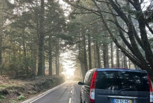 Funchal: Östra Madeira Guidad tur & Laurissilva promenad