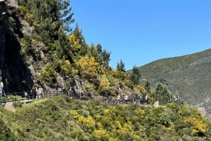 Funchal: Eira do Serrado Nun´s Valley viewpoint tuk tuk Tour