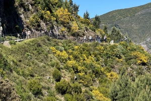 Funchal: Eira do Serrado Nun´s Valley utsiktspunkt tuk tuk-tur