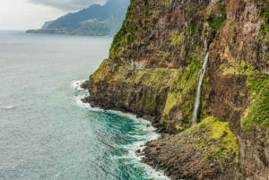 Funchal: Enchanted Terraces, Porto do Moniz & Fanal 4WD Tour