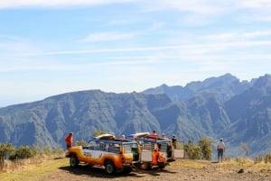 Funchal: Enchanted Terraces, Porto do Moniz & Fanal 4WD Tour