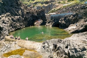 Funchal: Enchanted Terraces, Porto do Moniz & Fanal 4WD Tour