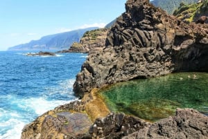 Funchal: Enchanted Terraces, Porto do Moniz & Fanal 4WD Tour