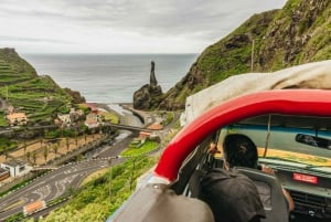 Funchal: Enchanted Terraces, Porto do Moniz & Fanal 4WD Tour