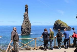 Funchal: Enchanted Terraces, Porto do Moniz & Fanal 4WD Tour