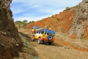 Funchal: Enchanted Terraces, Porto do Moniz & Fanal 4WD Tour