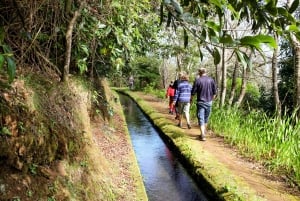 Funchal: Enchanted Terraces, Porto do Moniz & Fanal 4WD Tour