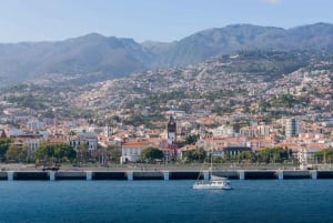 Funchal: City Highlights Tuk-Tuk Tour