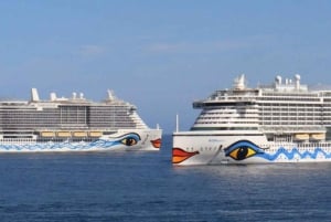 ファミリーツアー マデイラ島