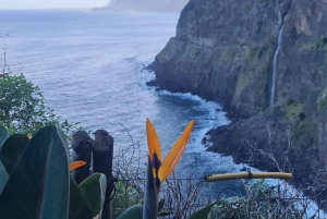 ファミリーツアー マデイラ島