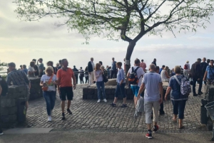 ファミリーツアー マデイラ島