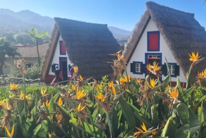 ファミリーツアー マデイラ島