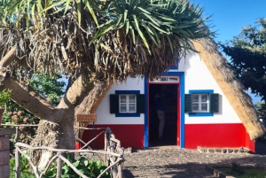 ファミリーツアー マデイラ島