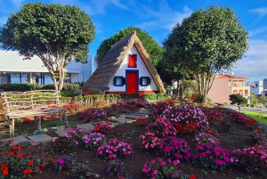 ファミリーツアー マデイラ島