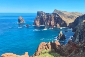 ファミリーツアー マデイラ島