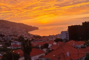 ファミリーツアー マデイラ島