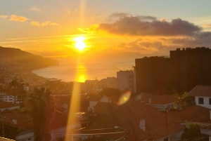 ファミリーツアー マデイラ島