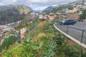 ファミリーツアー マデイラ島